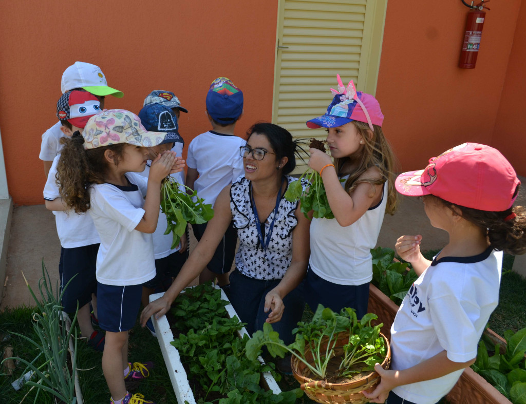 Horta Do Col Gio Unifev Incentiva O Contato A Natureza E O Consumo